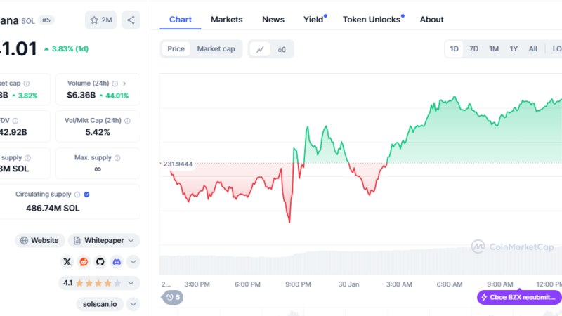 Solana Could Blast Past The $300 Mark Soon, as DEX Dominance Challenges Ethereum’s Market Share